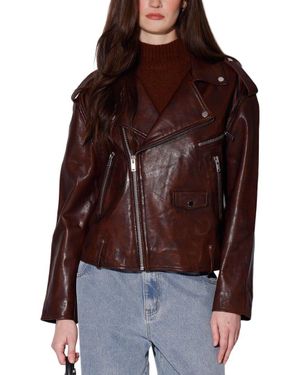 Walter Baker Jett Leather Jacket - Brown