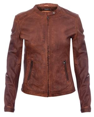Infinity Leather Tan Leather Biker Jacket-Prague - Brown