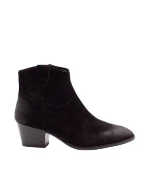 Ash Dark Suede Zip Ankle Boots - Black