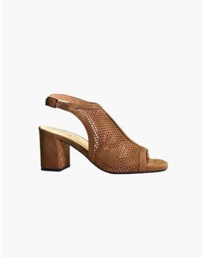 Cordani Illia Ankle Strap Sandals - Brown