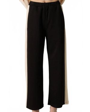 Before You Buttermilk Collection Stripe Wide Leg Pant - Black