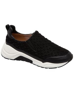 Linea Paolo Rawson Sneaker - Black