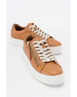Forever & Always Shoes Beryl Leather Zip Sneaker - Multicolor