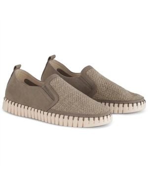 Ilse Jacobsen Tulip 3877 Slip On Shoe - Brown