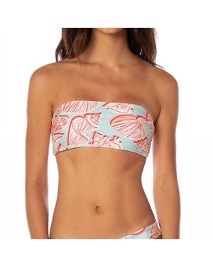 Maaji Bryn Strapless Bandeau Bikini Top - Brown