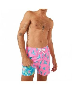 Chubbies The Toucan Do Its Swim Trunk - Pink