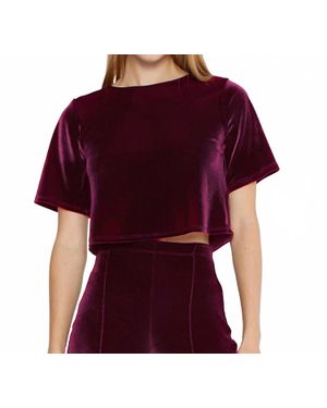 Ripley Rader Velvet Short Sleeve Top - Red