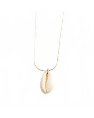 Cape Cod Chokers Puka Shell Necklace - Metallic