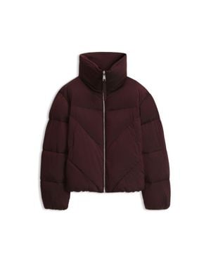 BOSS Zippered Puffer Jacket - Purple