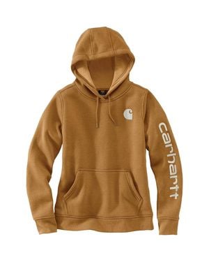 Carhartt Clarksburg Hoodie Graphic Fleece Pullover Cozy Posh064 - Brown