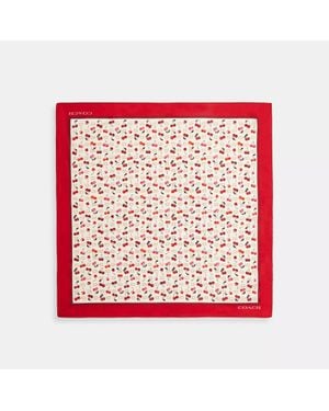 COACH Sculpted C Cherries Print Silk Bandana - Red