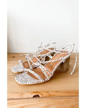 Ccocci Soren Lace Up Heel - Brown
