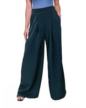 Bucketlist Pleated Wide Leg Pants - Blue