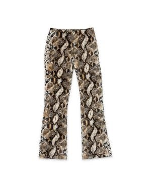 CALLIPYGIAN Snake Kick Pant - Gray