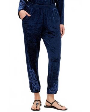 Johnny Was Carmel Crushed Velvet Jogger - Blue