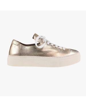 ATELIER Vince Sneakers - White