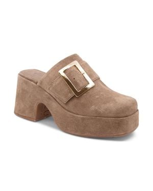 Chocolat Blu Haze Buckle Mule - Brown