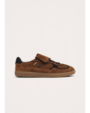 Alohas Club Suede Sneaker - Brown