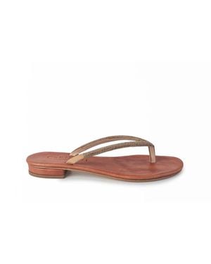 Cornetti Pogliano Sandal - Multicolor