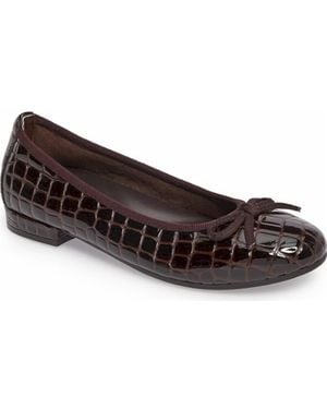 David Tate Glow Ballet Flat - Black