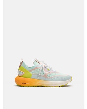 HOFF Drive Shoe - Multicolor