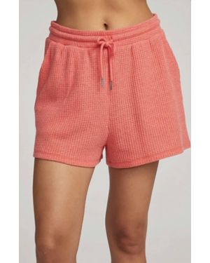 Chaser Brand Kesh Tie Front Short - Pink