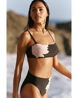 Sanctuary Clean Bandeau Bikini Top - Black
