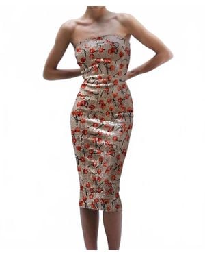 Le Superbe Misfits Cherry Tube Midi Dress - Brown