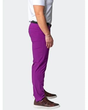 Maceoo Pants Classicfuchsia - Purple
