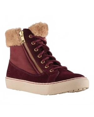 Cougar Shoes Dublin Boot - Brown