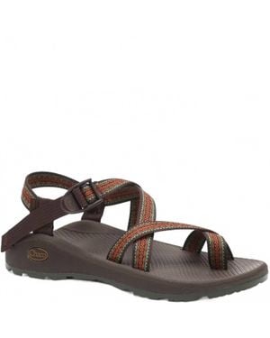 Chaco Zcloud 2 Sandal - Brown