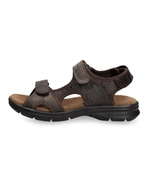Panama Jack Salton C1 - Brown