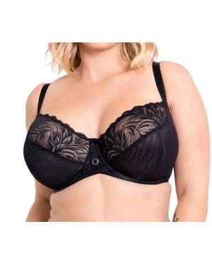 Curvy Kate Lace Daze Balcony Bra - Black