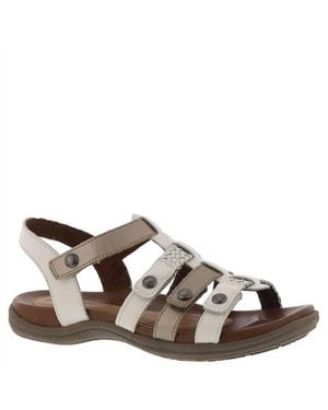 Rockport Cobb Hill Rubey Tstrap Sandal - Brown