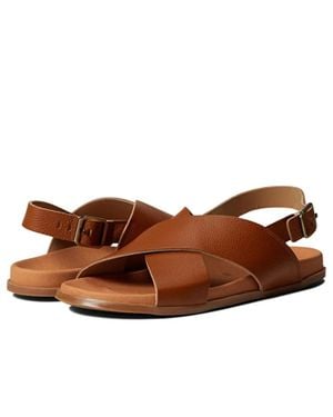 Eric Michael Apollo Sandals -6 Leather Ankle Strap Zap1077 - Brown