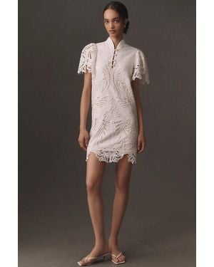 mestiza Elliana Lace Mini Dress - Black