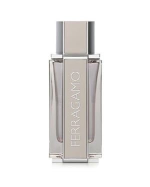 Ferragamo Bright Leather Edt Spray 3.4 Oz Fragrances 8052464891702 - Gray