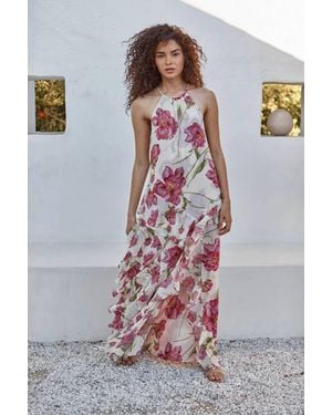 MISA Los Angles Novah Halter Maxi Dress - Multicolor