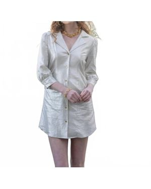 Emily Mccarthy Metallic Linen Button Front Dress - Gray