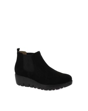 Wonders Chelsea Booties - Black