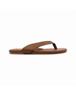 Solei Sea Brun Bowie Sandal - Brown