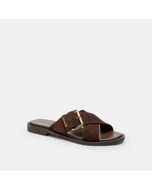 COACH Crisscross Buckle Sandal - Brown