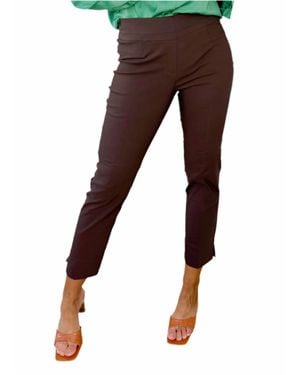 Renuar Pull-On Knit Pant - Brown