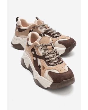 Prologue Shoes Loretta Platform Sneakers - Brown