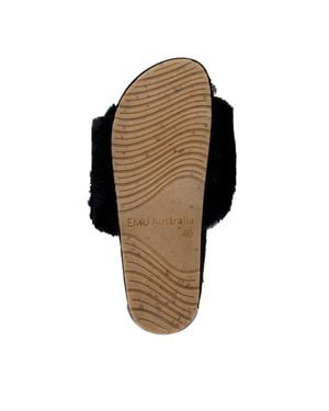 EMU Musica W12592 - Brown