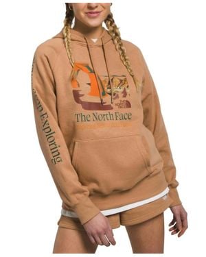 The North Face Places We Love Graphic Fleece Hoodie - Brown