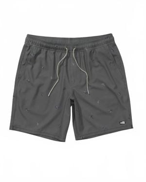 Salty Crew Kine Volley Swim Short - Gray