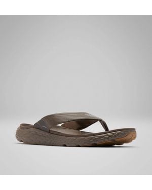 Columbia Pfg Castback Sandals Espresso Slip On Flip Flop Liq773 - Brown