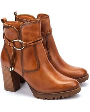 Pikolinos Connelly Ankle Boot - Brown