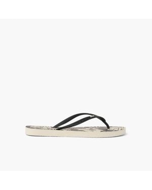 Reef Seaside Prints - Brown